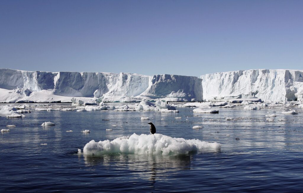 An Adelie penguin stands atop a block of melting ice near the French station at Dumont dUrville in East Antarctica